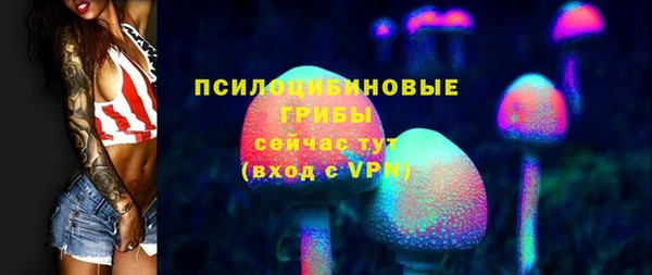 apvp Магас