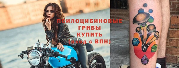 apvp Магас