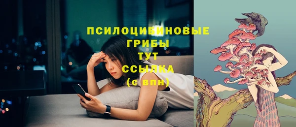 стаф Майский