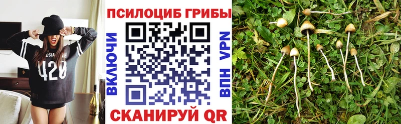 Галлюциногенные грибы Magic Shrooms  Купить  Мещовск 